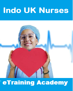 Bridging the gap - Indo Uk nurses